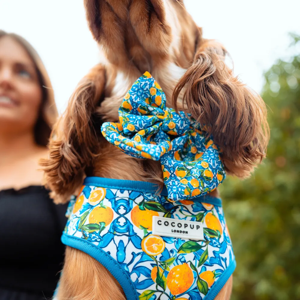 Amalfi Lemon Sailor Bow Tie