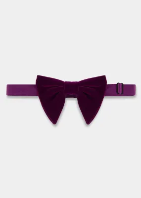 Purple S Velvet Bow Tie